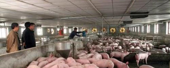 �o�iι���ϑ�(y��ng)��ѭ���Ă�(g��)ԭ�t